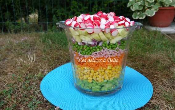 Salade estivale multicolore